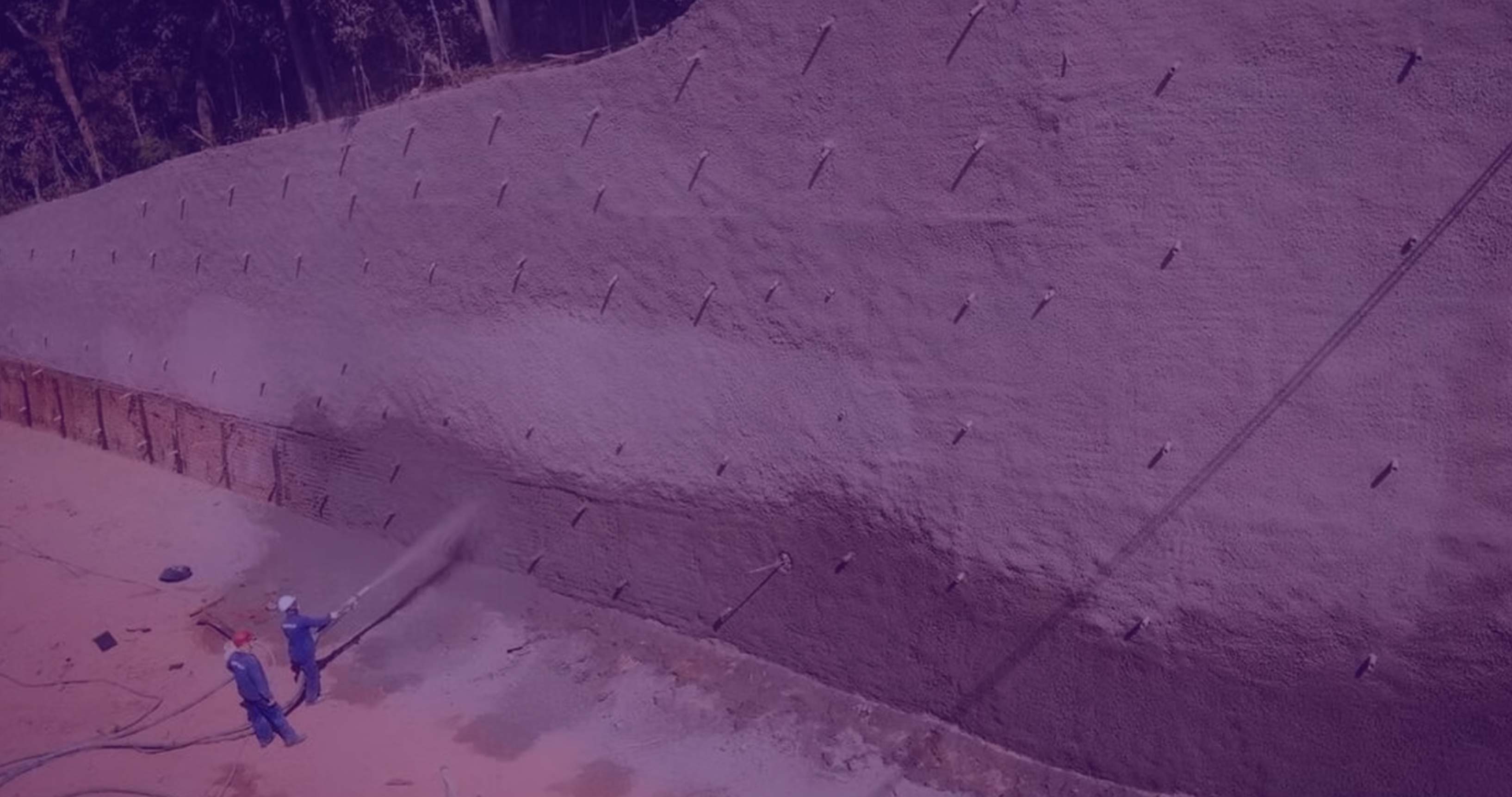 banner image